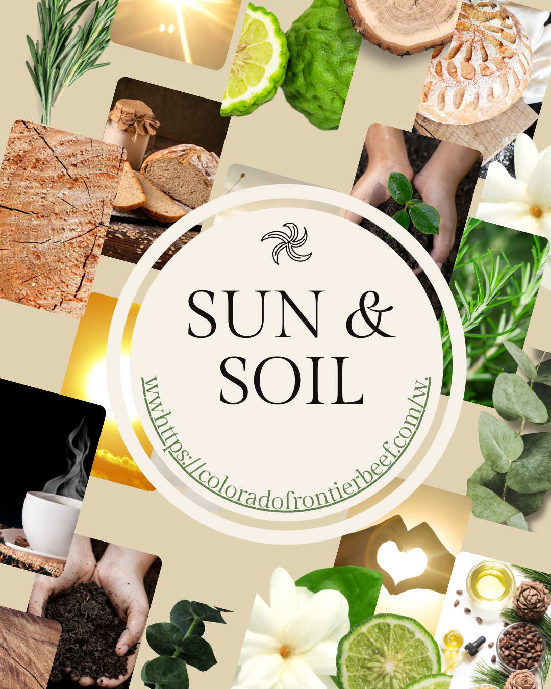 Sun & Soil