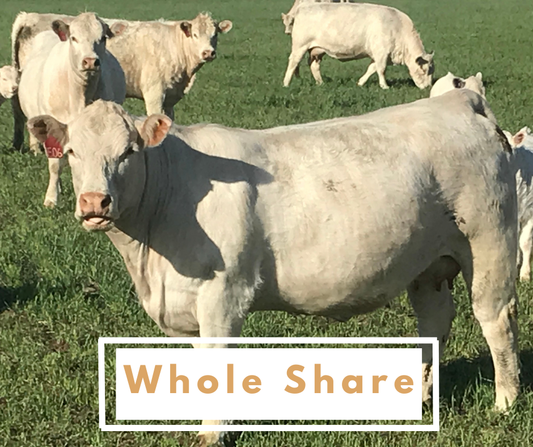Whole Bulk Beef Share DEPOSIT + Free Feezer